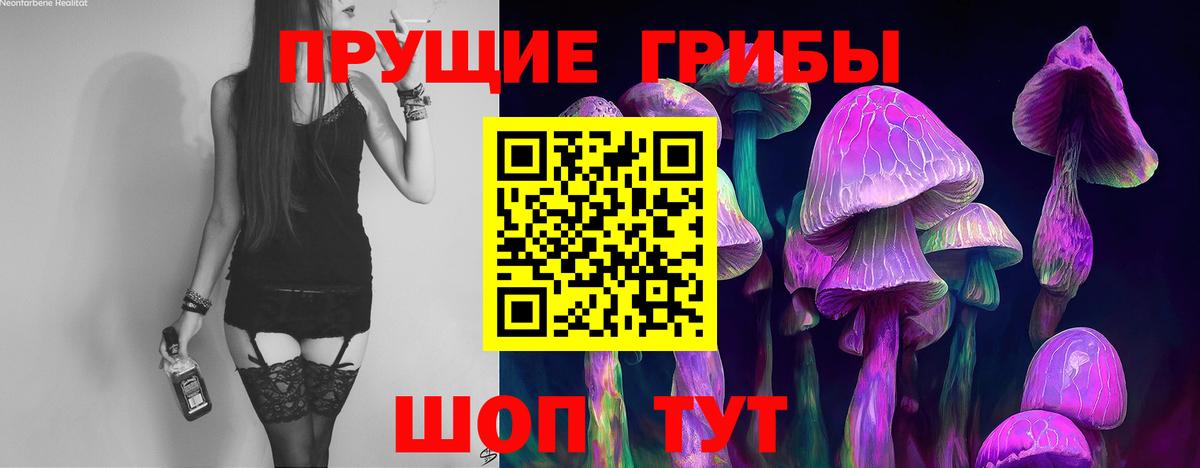 Псилоцибиновые грибы прущие грибы  Вход с VPN  Псилоцибиновые грибы MAGIC MUSHROOMS  Кашира 